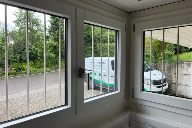 Fensterreinigung